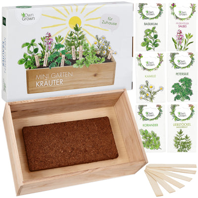 Seed growing set with wooden box and 8 types of plants seeds children's growing set