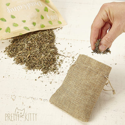 PRETTY KITTY DRIED CAT NINT 100G: NATURAL PREMIUM CAT NINT FOR CAT TOYS AND AS A STIMULUS - GENTLY DRIED CAT NINT - DRIED CAT NINT PLANT