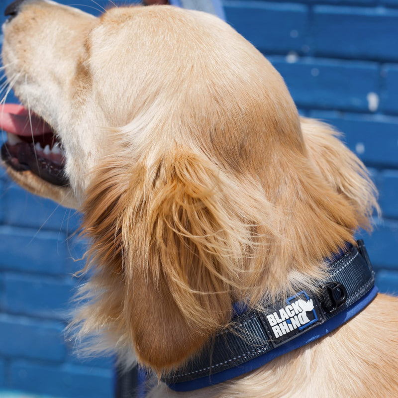 The Comfort Collar Soft Neoprene Padded Dog Collar