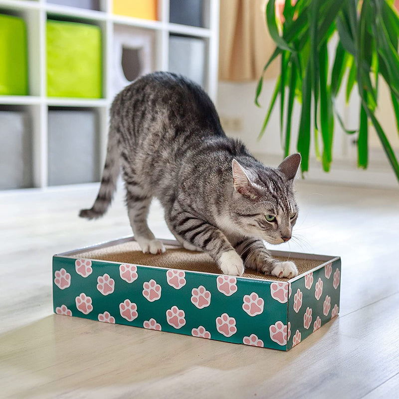 PAW OLYMP ® SCRATCH BOX