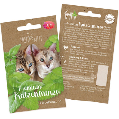 PRETTY KITTY CATNIP SEEDS: PREMIUM CATNIP CATNIP SEEDS FOR GROWING CATNIP PLANTS