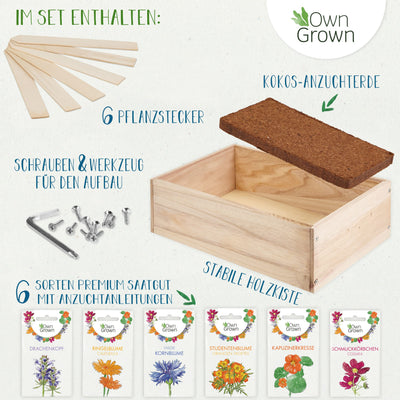 Seed growing set with wooden box and 8 types of plants seeds children's growing set