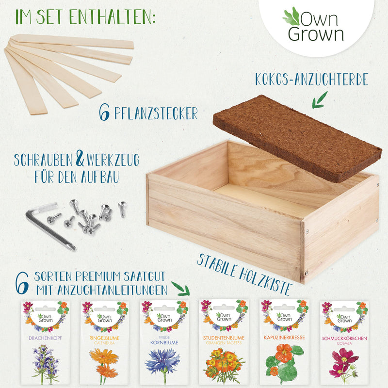 Seed growing set with wooden box and 8 types of plants seeds children&