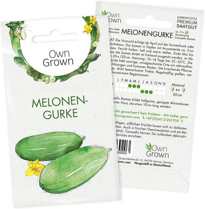 Mini Cucumber Seeds 5 Cucumber Seeds for Mexican Mini Cucumber Vegetable Seeds