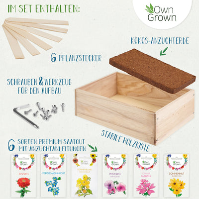 Seed growing set with wooden box and 8 types of plants seeds children's growing set