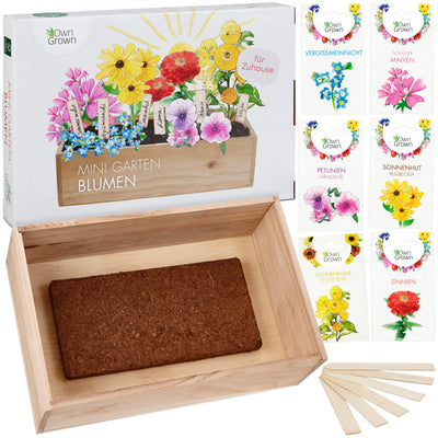 Seed growing set with wooden box and 8 types of plants seeds children's growing set