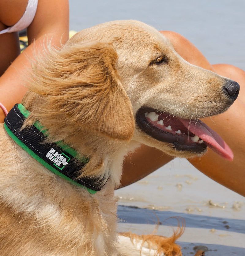 The Comfort Collar Soft Neoprene Padded Dog Collar