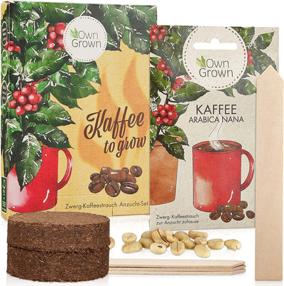 OWNGROWN COFFEE GIFT SET: COFFEE GIFT SET WITH COFFEE SEEDS FOR APPROX. 5 BEAUTIFUL COFFEE HOUSE PLANTS –