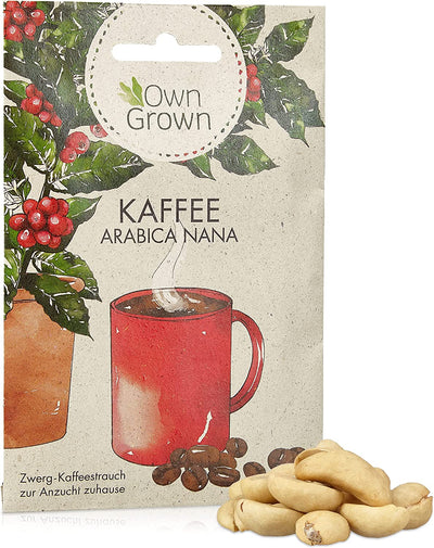 OWNGROWN DWARF COFFEE SEEDS: PREMIUM COFFEE SEEDS FOR APPROX. 5 BEAUTIFUL COFFEE HOUSEPLANTS –