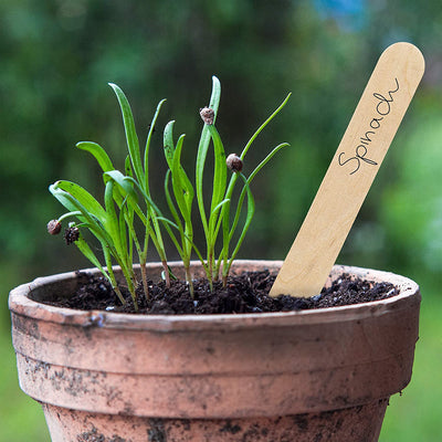 Plug-in labels for labeling plastic plant stakes with 120x