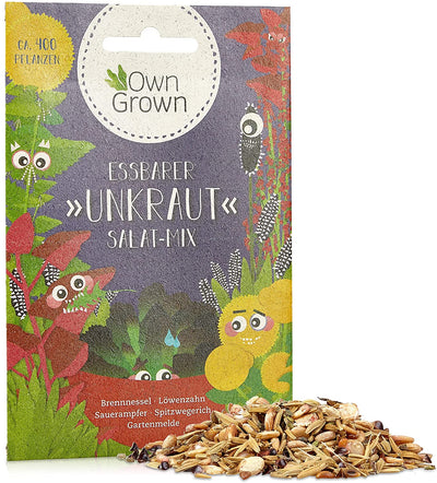 Bee meadow flower mix 10g bee seeds for colorful bee pasture