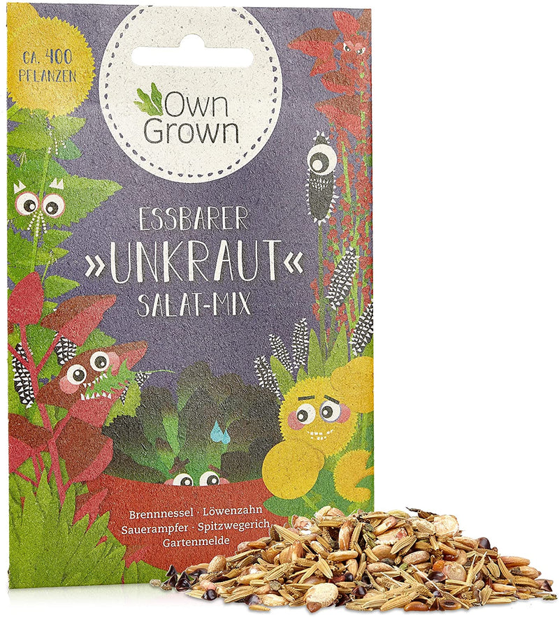 Bee meadow flower mix 10g bee seeds for colorful bee pasture