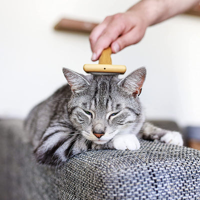 Soft brush for cats cat brush/cat comb made of bamboo fur brush