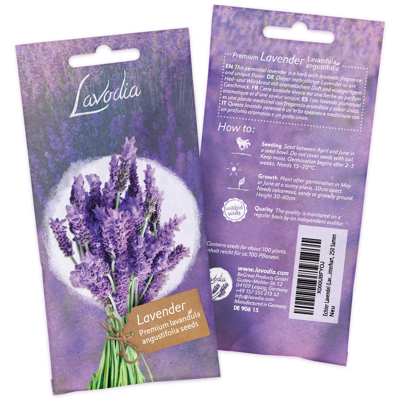 LAVODIA LAVENDER SEEDS: PREMIUM LAVENDER SEEDS FOR APPROX. 100 SCENTED LAVENDER PLANTS - LAVENDER PLANT SEEDS