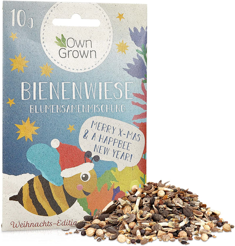 Bee meadow flower mix 10g bee seeds for colorful bee pasture