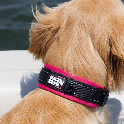 The Comfort Collar Soft Neoprene Padded Dog Collar