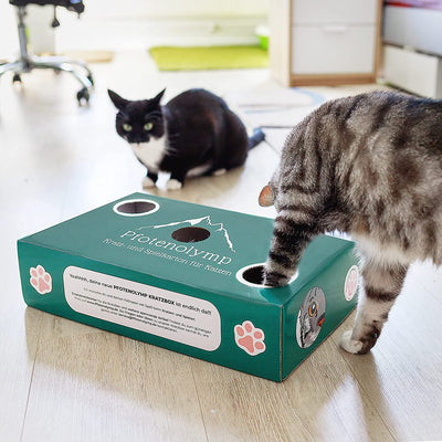 PAW OLYMP ® SCRATCH BOX