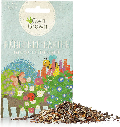 Bee meadow flower mix 10g bee seeds for colorful bee pasture