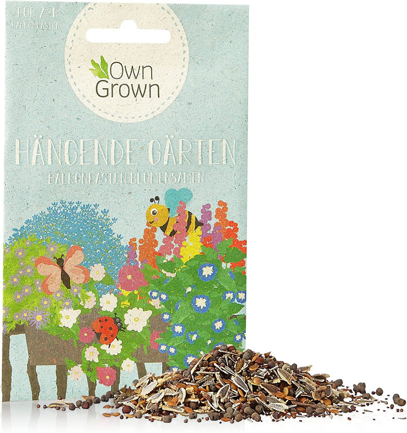 Bee meadow flower mix 10g bee seeds for colorful bee pasture