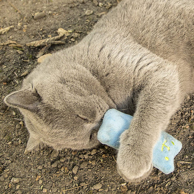 Mint kitty cat toy set made of cat cushion with catnip